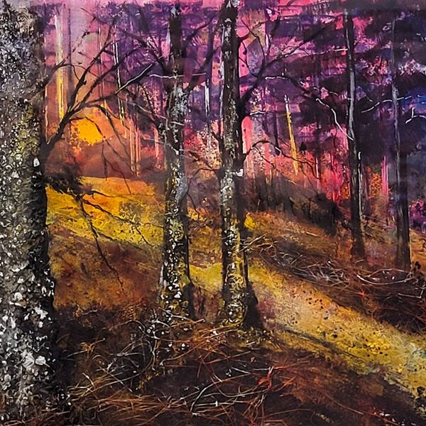 Forest "Glade"
