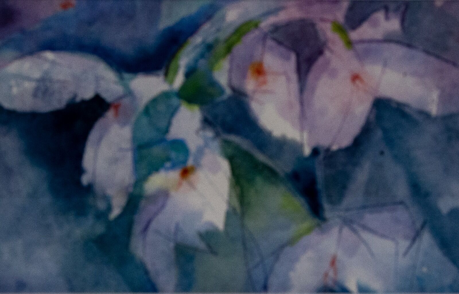 Spring Flowers