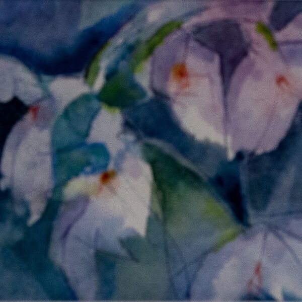 Spring Flowers