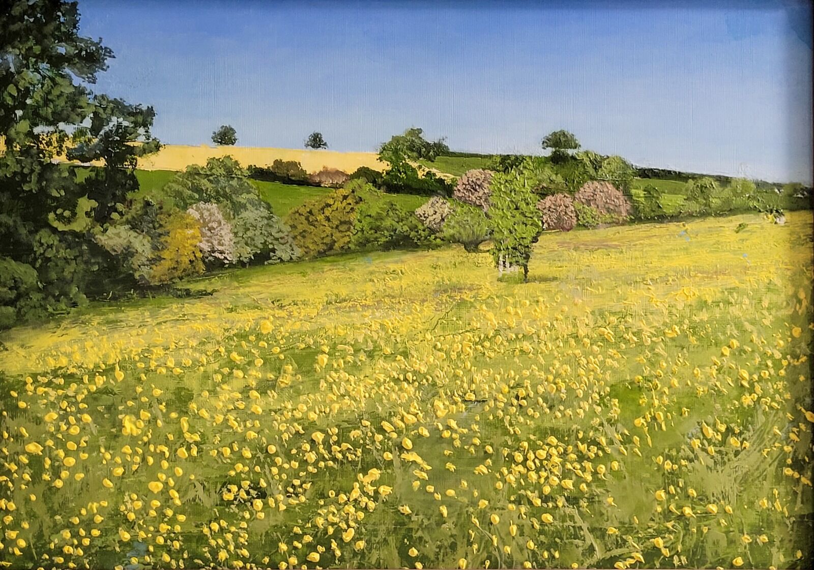 Yellow Meadow
