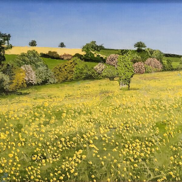 Yellow Meadow