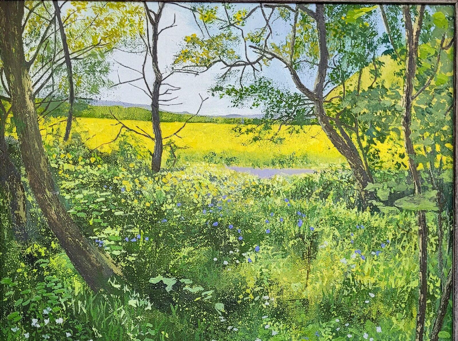 Spring, Oversley Woods