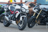 Bulldog Triumph-12