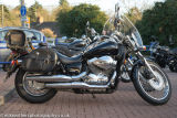 Bulldog Triumph-14