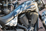 Bulldog Triumph-15