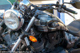 Bulldog Triumph-17