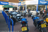 Bulldog Triumph-6