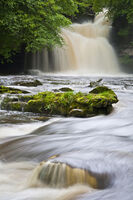 Yorkshire & Humberside