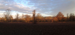 Audley End Estate