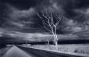 Aldinga Beach Road<br><br>
South Australia