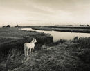 River Great Ouse<br>Nr Cottenham<br>Cambridge
