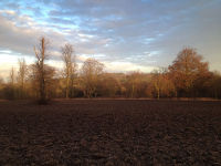 Audley End Estate<br>(Shot on iphone)<br>Saffron Walden