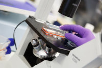 Axol Bioscience