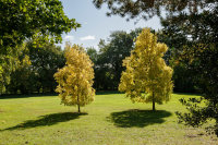 Capital Park<br>Business Park<br>Cambridge