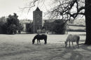 Eastwick Manor<br>Hertfordshire