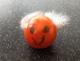 Hirsute Tomato