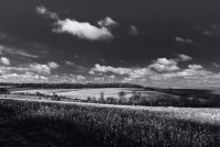 Landscape 3 <br>Saffron Walden