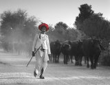 the red turban