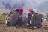 campfire pushkar