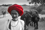 the herdsman
