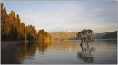 drowned willow lake wanaka