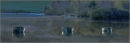 3 boats knapps loch