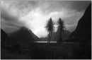 milford sound mono
