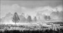 misty morning