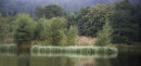shades of green