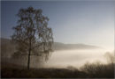 trossachs morning