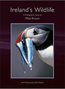 Images of Irish Nature - A Photographic Essay