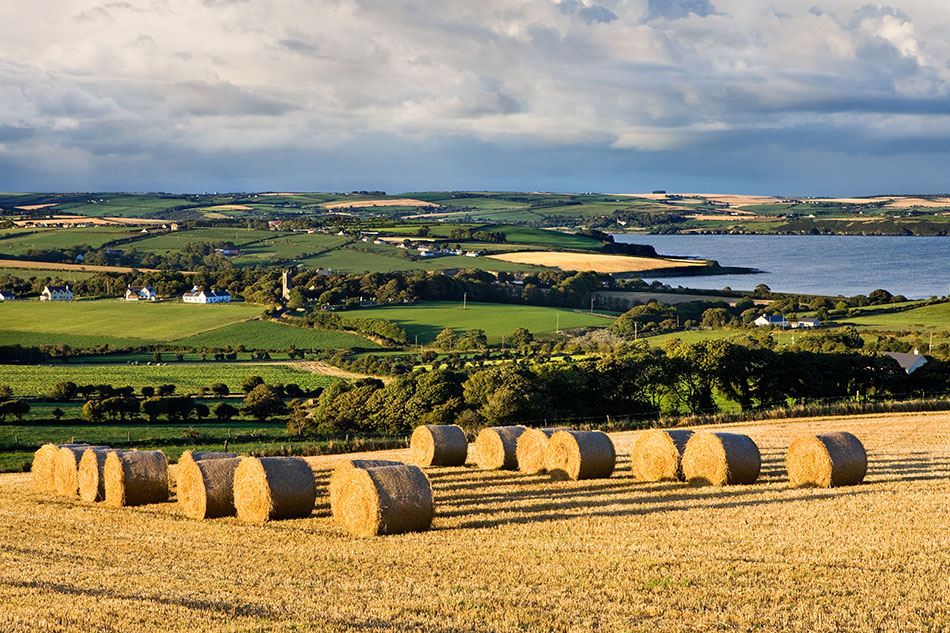 Straw bales and Courtmacsherry bay