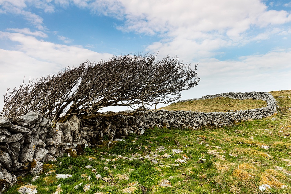 Burren wall, Co Clare