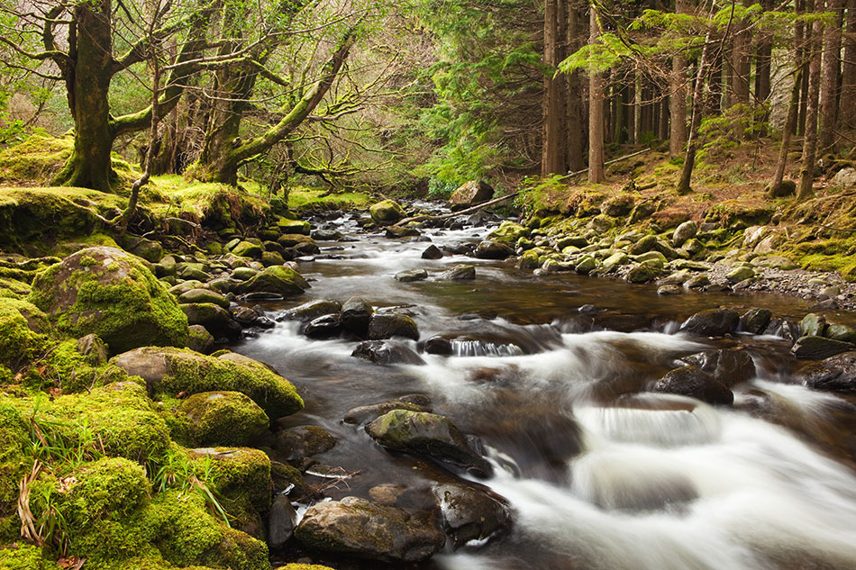Torc river in spring, Killarney National Park, County Kerry