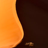 Namibia 1 - Sossusvlei