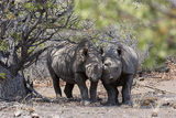 Namibia 20 - Damaraland