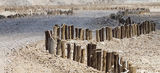 Namibia 22 - Etosha clay pan