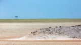 Namibia 25 - Etosha clay pan