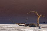 Namibia 4 - Sossusvlei
