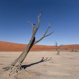 Namibia 5 - Sossusvlei