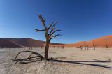 Namibia 6 - Sossusvlei