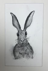 Hare by Laurette Cowan- Pastel