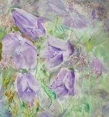 Harebells by Jenifer Alison - WC