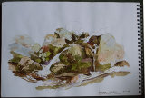 Moss Beck by Margaret Copestake - Watercolour