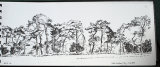 Near Cockly Cleg - Norkolf by Margaret Copestake - Ink