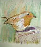 Robin by Liz Clarke - Oil Pastel