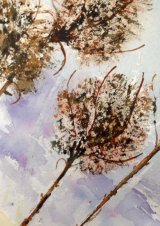 Teasels by Jenifer Alsion - Watercolour