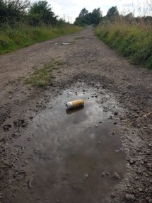 The Horsefield