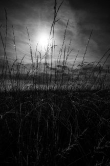Summer on the Edgeland