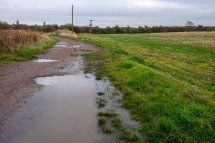 The Horsefield